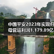 中国平安2023年实现归母营运利润1,179.89亿元(图4) 中国平安2023年实现归母营运利润1,179.89亿元(图4)