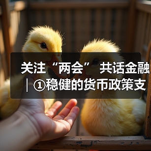 关注“两会” 共话金融｜①稳健的货币政策支持高质量发展