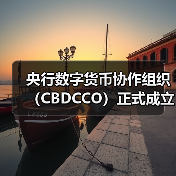 央行数字货币协作组织（CBDCCO）正式成立并达成行动计划