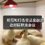 防范和打击非法金融活动部际联席会议