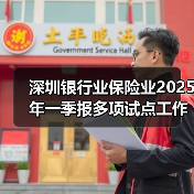 深圳银行业保险业2025年一季报多项试点工作加速落地(图2) 深圳银行业保险业2025年一季报多项试点工作加速落地(图2)
