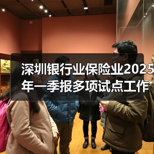 深圳银行业保险业2025年一季报多项试点工作加速落地(图4) 深圳银行业保险业2025年一季报多项试点工作加速落地(图4)