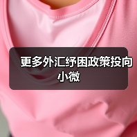 更多外汇纾困政策投向小微（图1）