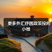 更多外汇纾困政策投向小微（图2）