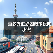 更多外汇纾困政策投向小微（图4）