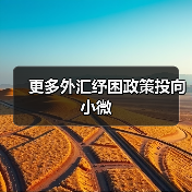 更多外汇纾困政策投向小微（图3）