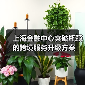上海金融中心突破瓶颈的跨境服务升级方案