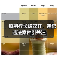 原副行长被双开,违纪违法案件引关注(图2) 原副行长被双开,违纪违法案件引关注(图2)