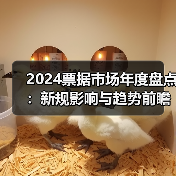 2024票据市场年度盘点：新规影响与趋势前瞻（图3）