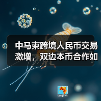 中马柬跨境人民币交易激增,双边本币合作如何深化?(图3) 中马柬跨境人民币交易激增,双边本币合作如何深化?(图3)