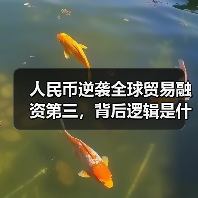 人民币逆袭全球贸易融资第三,背后逻辑是什么?(图3) 人民币逆袭全球贸易融资第三,背后逻辑是什么?(图3)