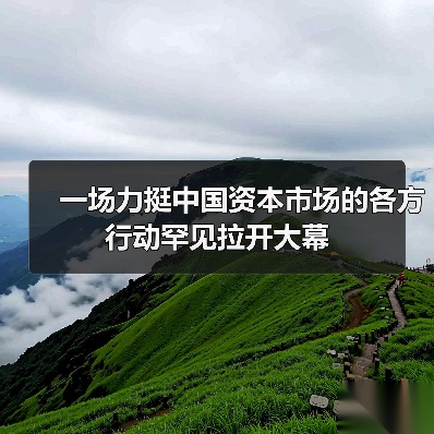 一场力挺中国资本市场的各方行动罕见拉开大幕(图3) 一场力挺中国资本市场的各方行动罕见拉开大幕(图3)