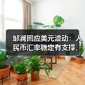 邹澜回应美元波动：人民币汇率稳定有支撑，稳增长政策持续推进（图4）