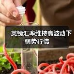 英镑汇率维持高波动下弱势行情（图3）