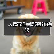 人民币汇率调整影响有限（图3）