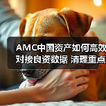 AMC中国资产如何高效对接良资数据 清理重点项目不良资产？（图3）