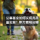 公募基金如何实现高质量发展？新方案释放哪些信号（图2）