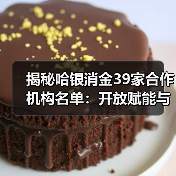 揭秘哈银消金39家合作机构名单：开放赋能与合规双轮驱动（图1）