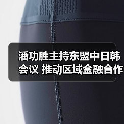 潘功胜主持东盟中日韩会议 推动区域金融合作突破（图4）