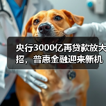 央行3000亿再贷款放大招，普惠金融迎来新机遇（图2）