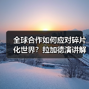全球合作如何应对碎片化世界?拉加德演讲解析(图3) 全球合作如何应对碎片化世界?拉加德演讲解析(图3)