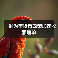 谁为美货币政策加速收紧埋单(图1) 谁为美货币政策加速收紧埋单(图1)