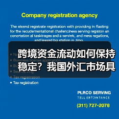 跨境资金流动如何保持稳定?我国外汇市场具备哪些基础(图1) 跨境资金流动如何保持稳定?我国外汇市场具备哪些基础(图1)