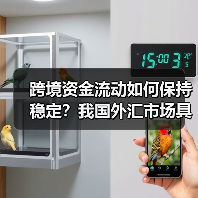 跨境资金流动如何保持稳定?我国外汇市场具备哪些基础(图2) 跨境资金流动如何保持稳定?我国外汇市场具备哪些基础(图2)
