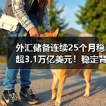 外汇储备连续25个月稳超3.1万亿美元!稳定背后有哪些原因?(图1) 外汇储备连续25个月稳超3.1万亿美元!稳定背后有哪些原因?(图1)