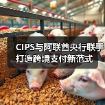 CIPS与阿联酋央行联手打造跨境支付新范式（图2）
