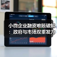 小微企业融资难题破解:政府与市场双重发力如何实现有效支持?(图2) 小微企业融资难题破解:政府与市场双重发力如何实现有效支持?(图2)