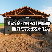 小微企业融资难题破解:政府与市场双重发力如何实现有效支持?(图4) 小微企业融资难题破解:政府与市场双重发力如何实现有效支持?(图4)