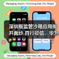 深圳版监管沙箱应用揭开面纱 百行征信、华为等机构入围（图3）