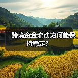 跨境资金流动为何能保持稳定？（图2）