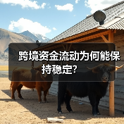 跨境资金流动为何能保持稳定？（图4）