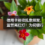 信用卡催收乱象频发，监管亮红灯！为何银行被罚80万？（图3）