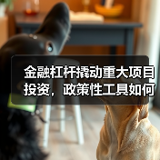 金融杠杆撬动重大项目投资,政策性工具如何助力?(图4) 金融杠杆撬动重大项目投资,政策性工具如何助力?(图4)