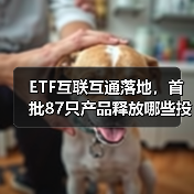 ETF互联互通落地,首批87只产品释放哪些投资机遇?(图1) ETF互联互通落地,首批87只产品释放哪些投资机遇?(图1)