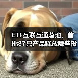 ETF互联互通落地,首批87只产品释放哪些投资机遇?(图3) ETF互联互通落地,首批87只产品释放哪些投资机遇?(图3)