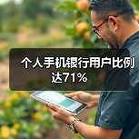 个人手机银行用户比例达71%（图4）