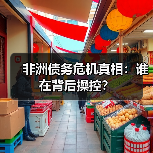 非洲债务危机真相:谁在背后操控?(图4) 非洲债务危机真相:谁在背后操控?(图4)