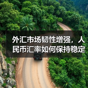 外汇市场韧性增强,人民币汇率如何保持稳定?(图4) 外汇市场韧性增强,人民币汇率如何保持稳定?(图4)