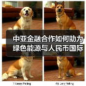 中亚金融合作如何助力绿色能源与人民币国际化?(图4) 中亚金融合作如何助力绿色能源与人民币国际化?(图4)