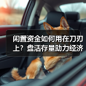 闲置资金如何用在刀刃上?盘活存量助力经济稳增长(图3) 闲置资金如何用在刀刃上?盘活存量助力经济稳增长(图3)