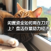 闲置资金如何用在刀刃上?盘活存量助力经济稳增长(图4) 闲置资金如何用在刀刃上?盘活存量助力经济稳增长(图4)