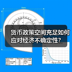 货币政策空间充足如何应对经济不确定性?(图2) 货币政策空间充足如何应对经济不确定性?(图2)