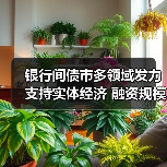 银行间债市多领域发力支持实体经济 融资规模创历史新高(图2) 银行间债市多领域发力支持实体经济 融资规模创历史新高(图2)