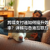 跨境支付通如何提升效率?详解与香港互联互通优势(图3) 跨境支付通如何提升效率?详解与香港互联互通优势(图3)