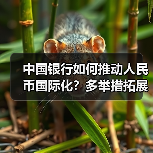 中国银行如何推动人民币国际化?多举措拓展全球清算与跨境服务(图4) 中国银行如何推动人民币国际化?多举措拓展全球清算与跨境服务(图4)