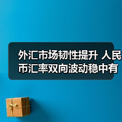 外汇市场韧性提升 人民币汇率双向波动稳中有进（图3）